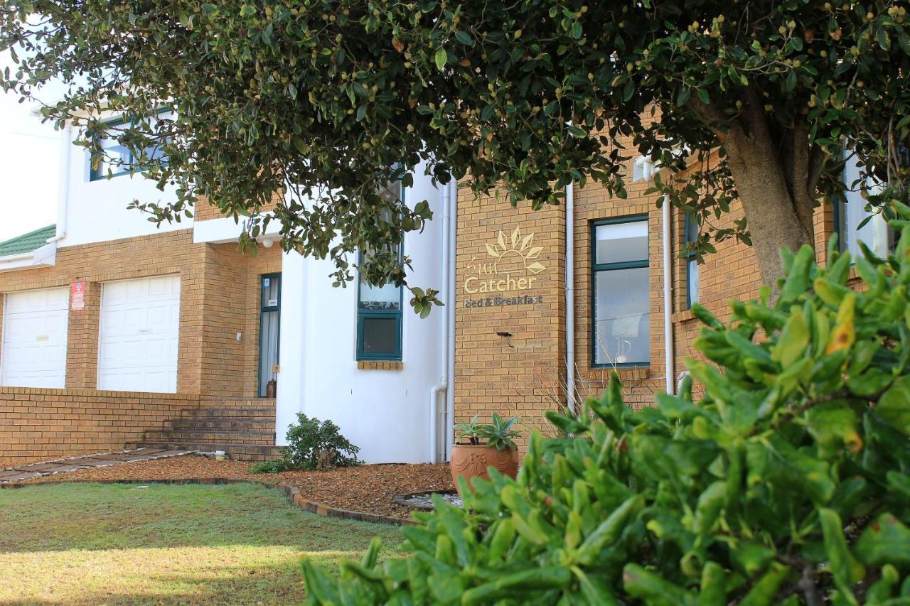The Sun Catcher Bed & Breakfast Struisbaai Bagian luar foto