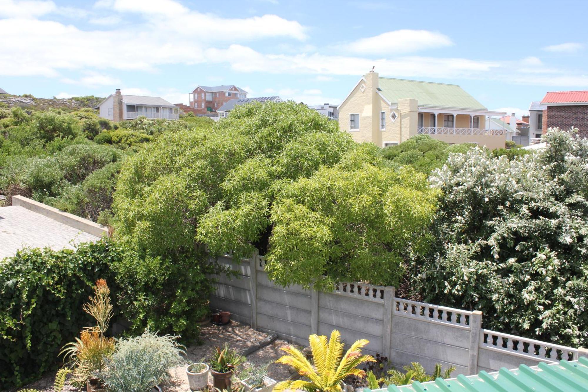 The Sun Catcher Bed & Breakfast Struisbaai Ruang foto